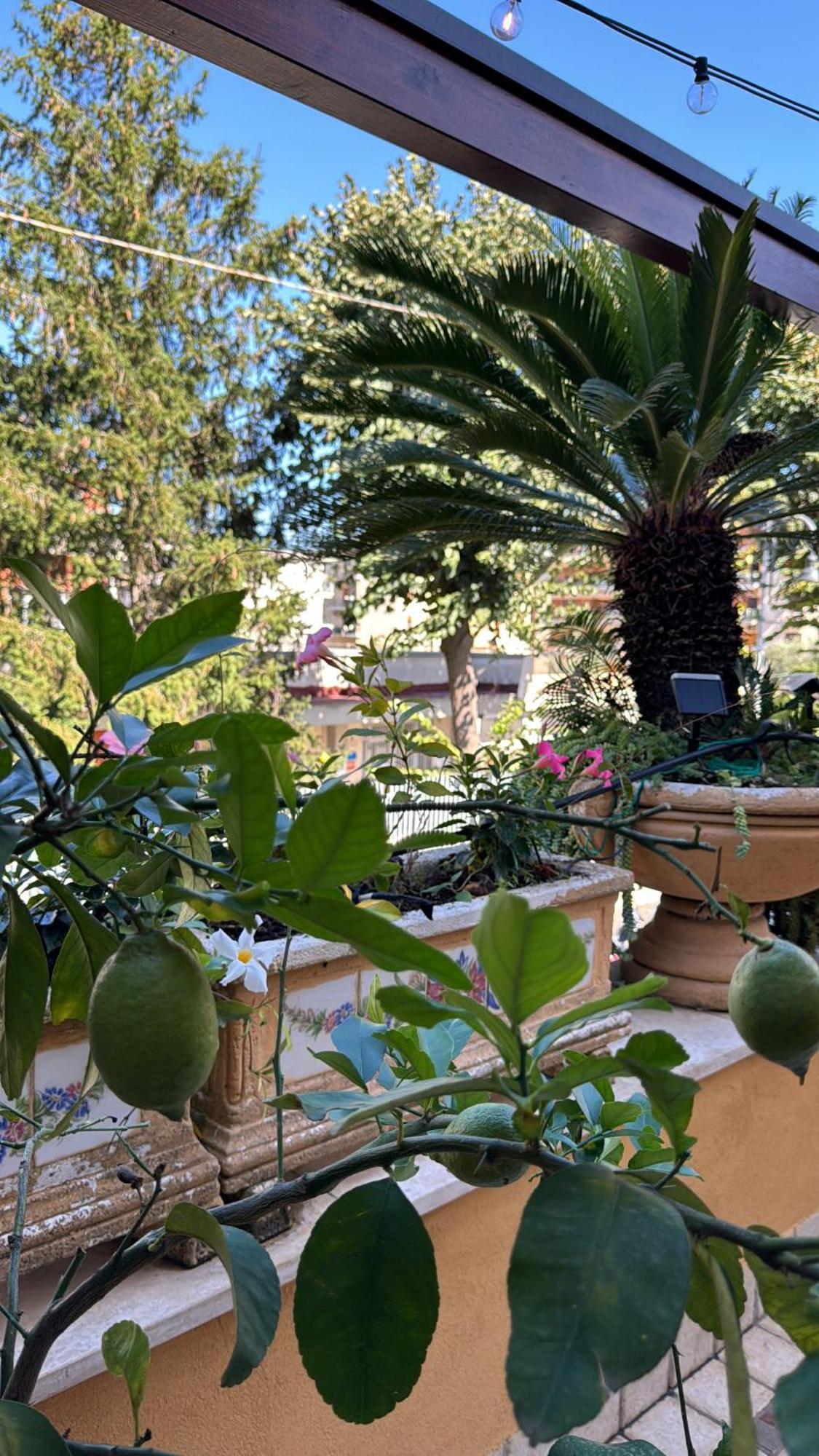 مبيت وإفطار Relais Sorrento Terrace And Relax المظهر الخارجي الصورة